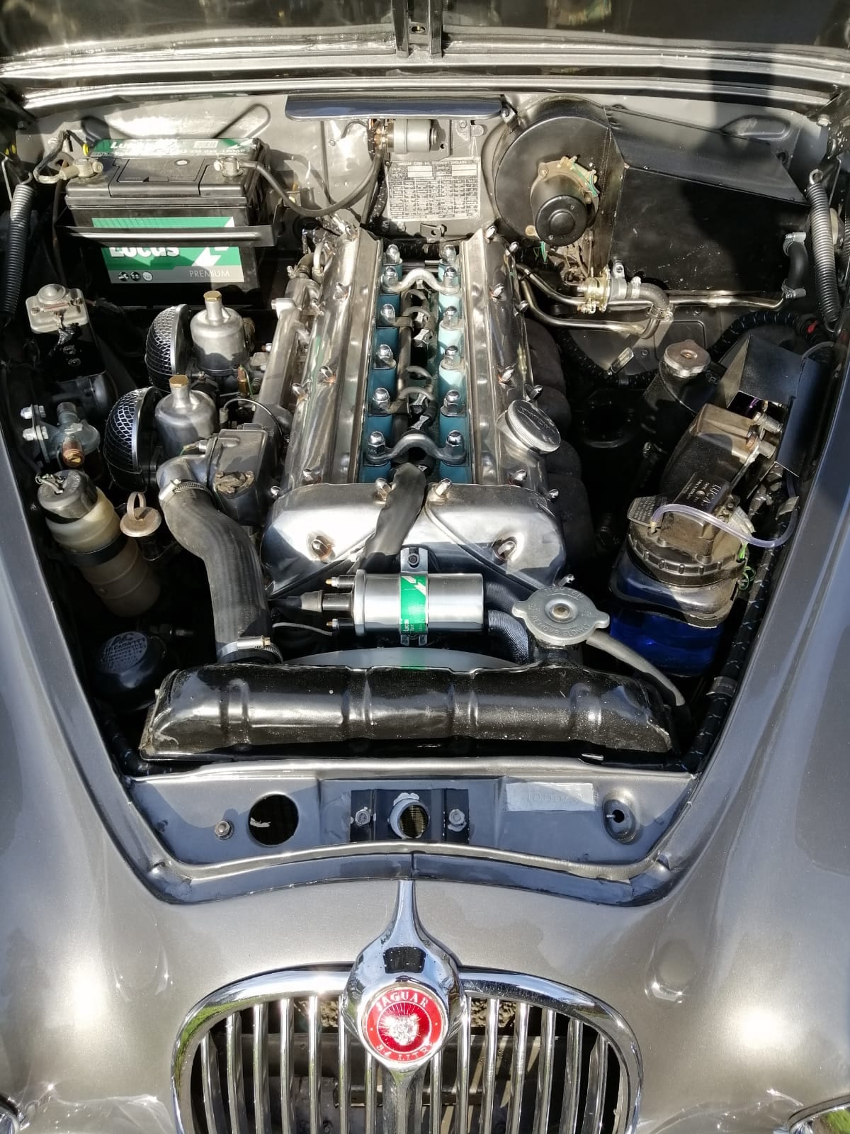 Jaguar Mk2 Fostering Classics engine