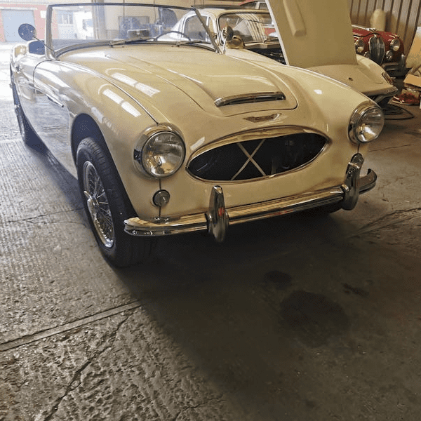 Fostering Classics - Austin Healey - thumbnail future projects