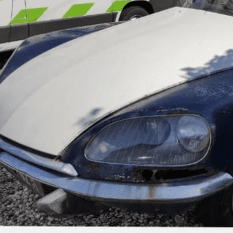 Fostering Classics - Citroen DS - thumbnail - 1