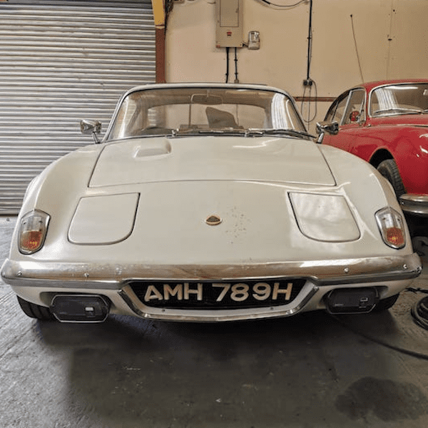 Fostering Classics - Lotus thumbnail - 1